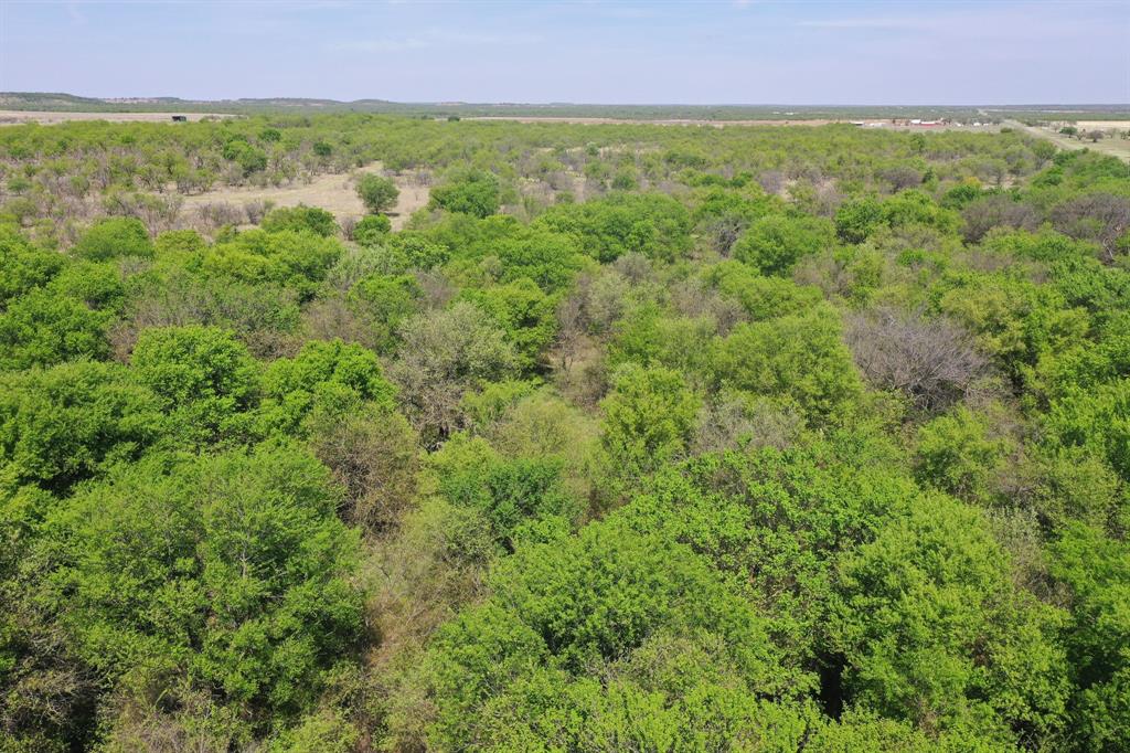 100 Acres Fm 2950 Property Photo 18