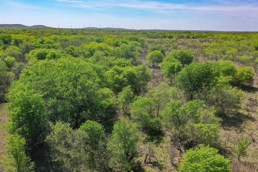 100 Acres Fm 2950 Property Photo 19