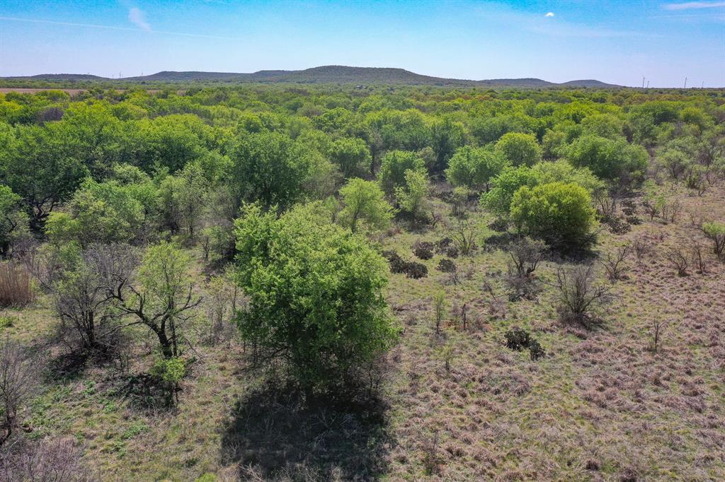 100 Acres Fm 2950 Property Photo 21