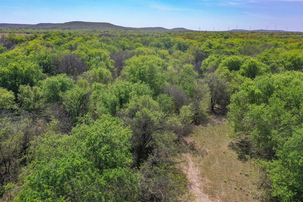 100 Acres Fm 2950 Property Photo 22