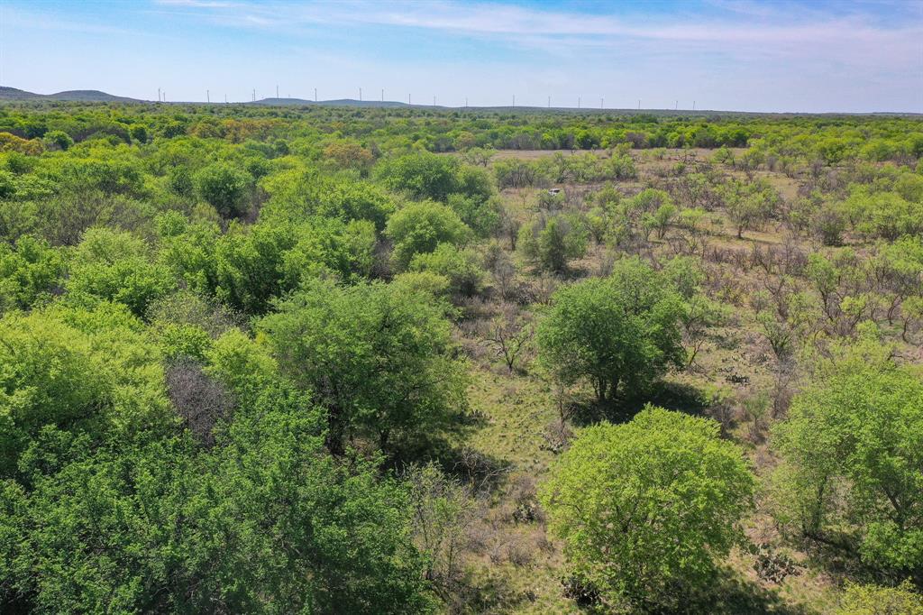 100 Acres Fm 2950 Property Photo 23