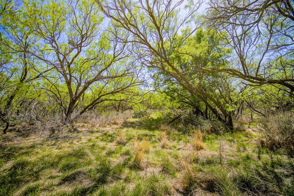 100 Acres Fm 2950 Property Photo 25