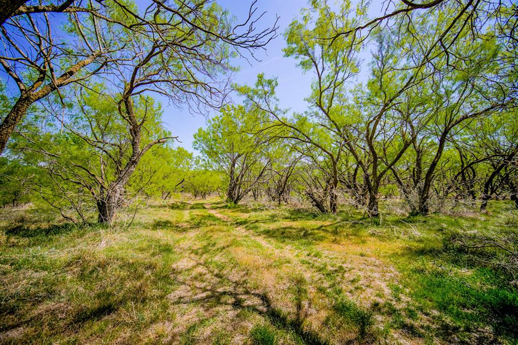 100 Acres Fm 2950 Property Photo 26
