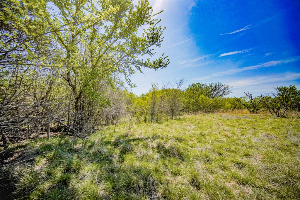 100 Acres Fm 2950 Property Photo 29