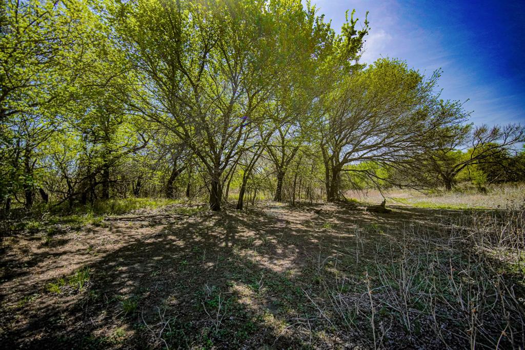 100 Acres Fm 2950 Property Photo 31
