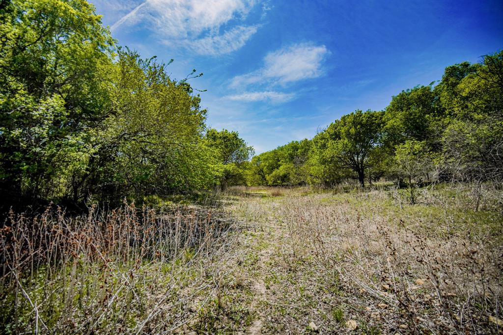 100 Acres Fm 2950 Property Photo 32