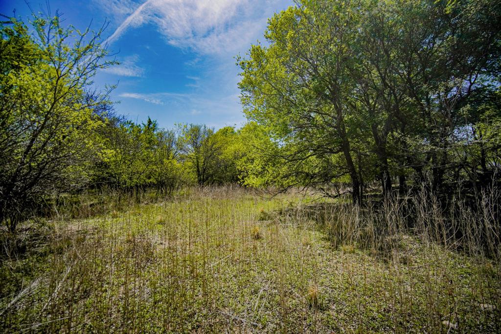100 Acres Fm 2950 Property Photo 33