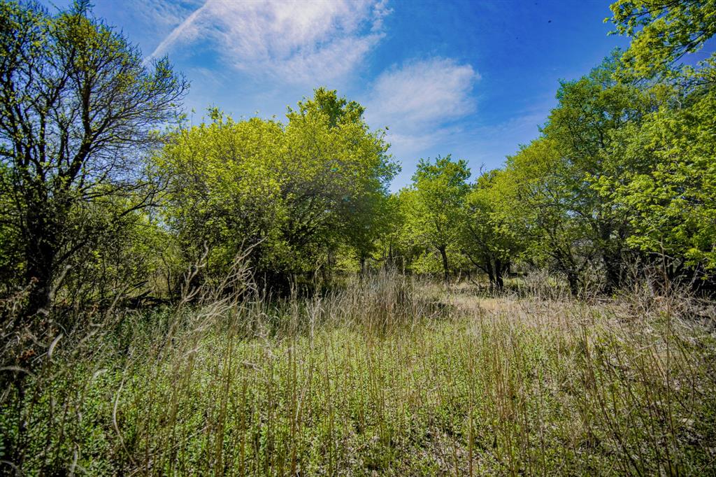 100 Acres Fm 2950 Property Photo 34