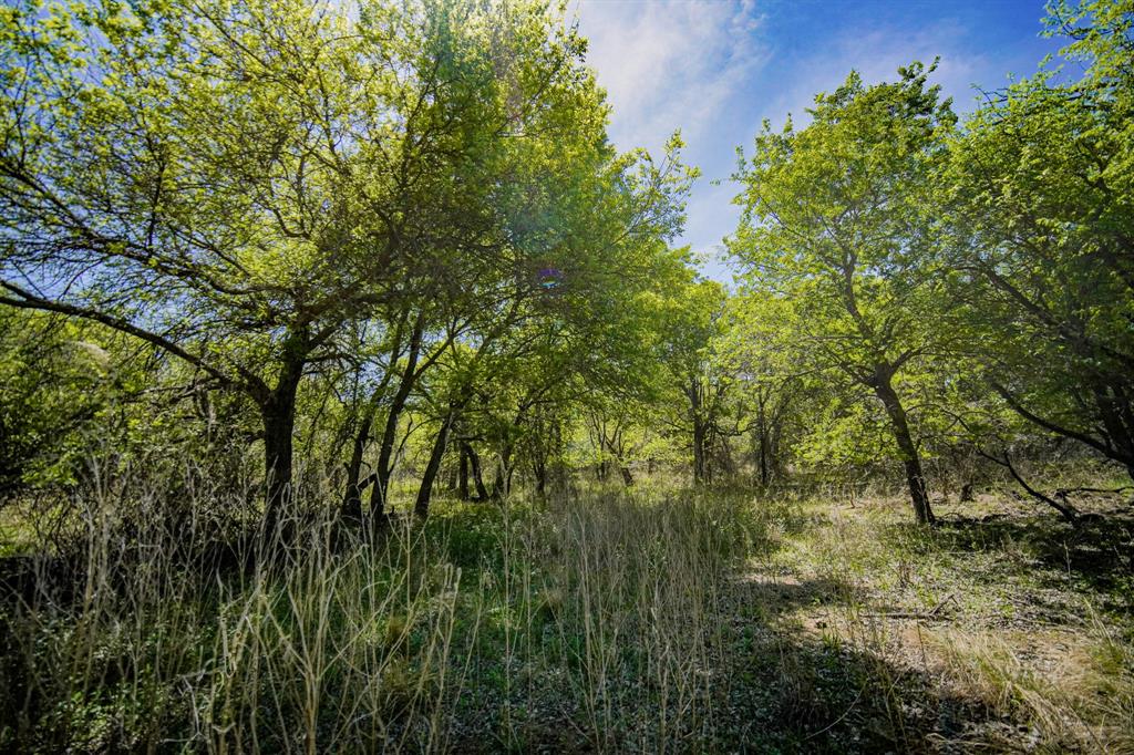 100 Acres Fm 2950 Property Photo 35