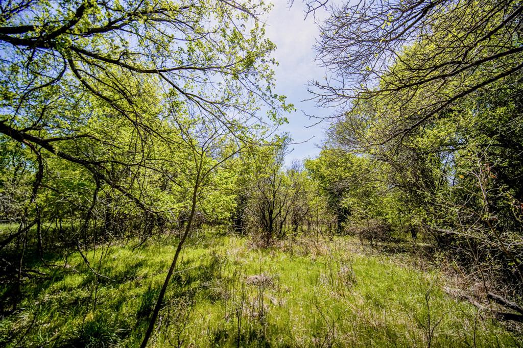 100 Acres Fm 2950 Property Photo 37