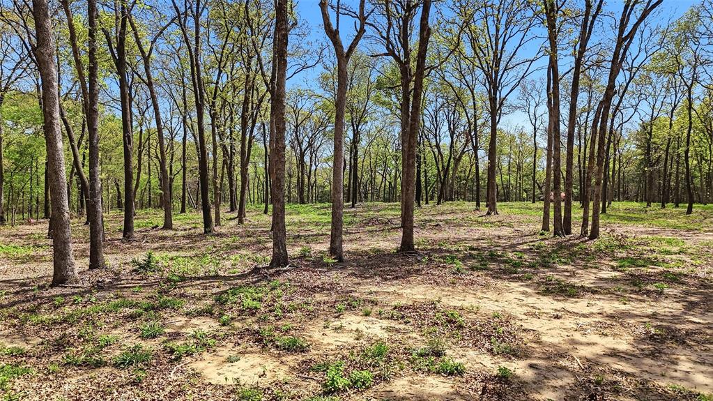 Lot 13 Buck Trail Road Property Photo 2