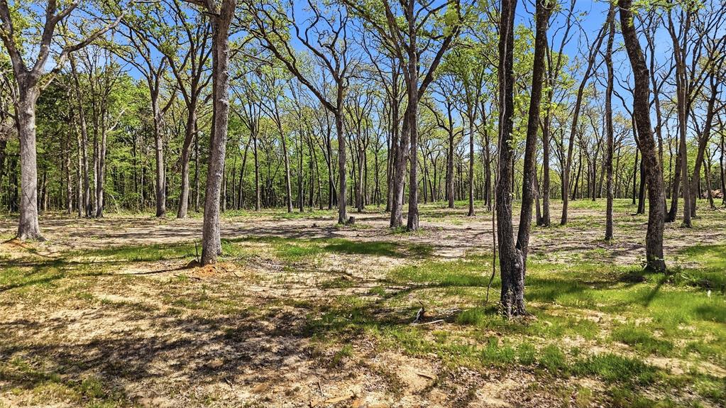 Lot 13 Buck Trail Road Property Photo 3
