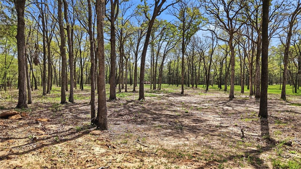 Lot 13 Buck Trail Road Property Photo 4