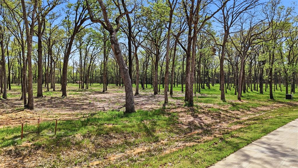 Lot 13 Buck Trail Road Property Photo 5