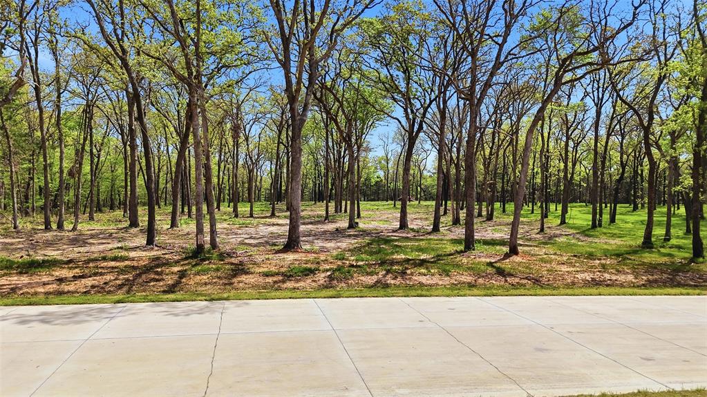 Lot 13 Buck Trail Road Property Photo 6