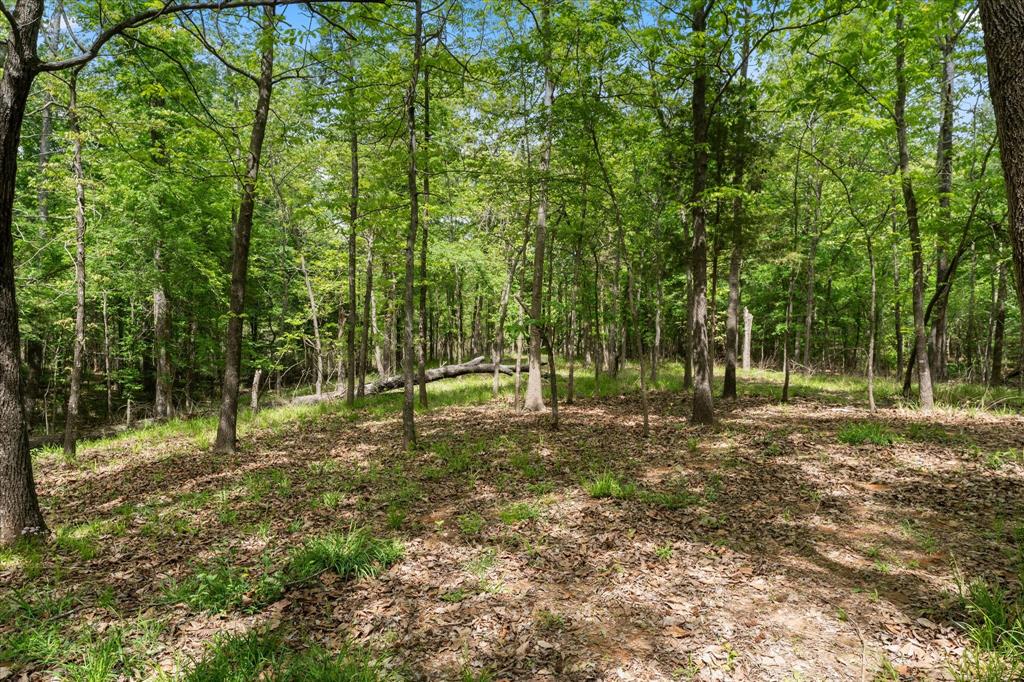 353 Pr 5861 Property Photo 32