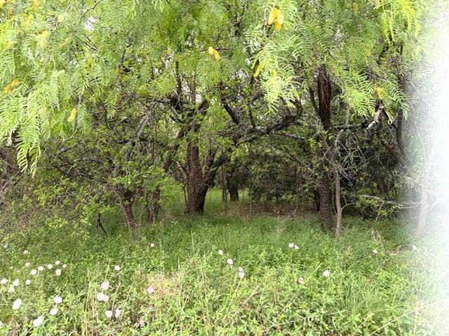 Tbd Mcalister Property Photo 5