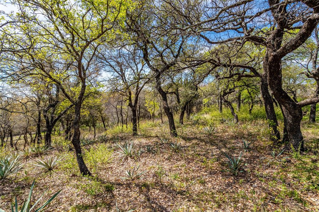 4261 Estancia Way Property Photo 8