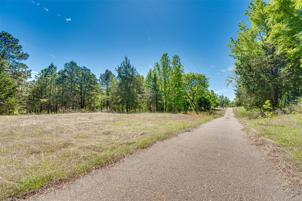 11088 County Road 334 Property Photo 4