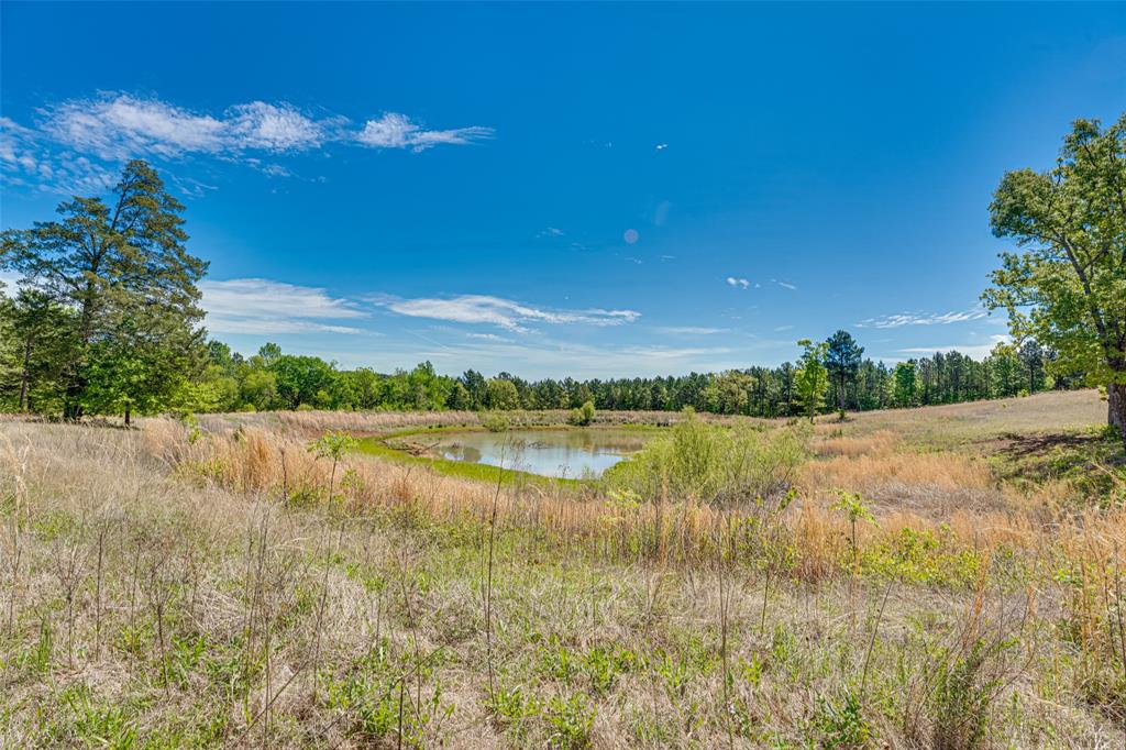 11088 County Road 334 Property Photo 6