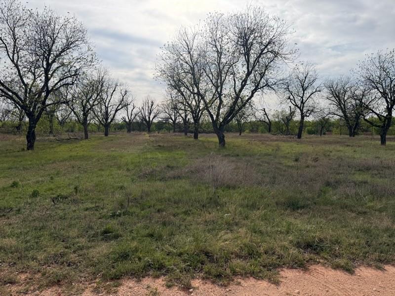 4050 Old Anson Road Property Photo 40