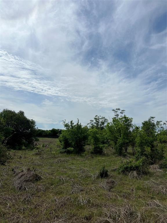 Tbd Mcgregor Drive Property Photo 3