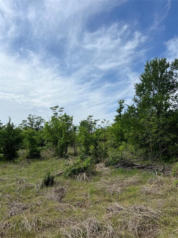 Tbd Mcgregor Drive Property Photo 4