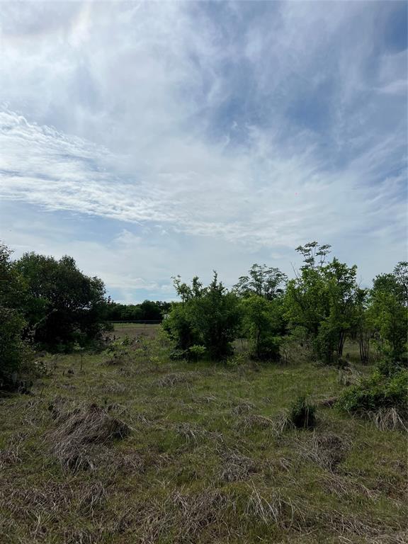 Tbd Mcgregor Drive Property Photo 5