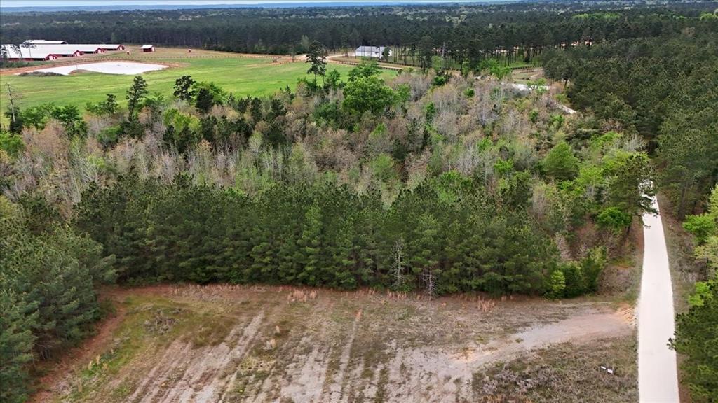 Tbd Lake Nacogdoches Ranch Property Photo 3
