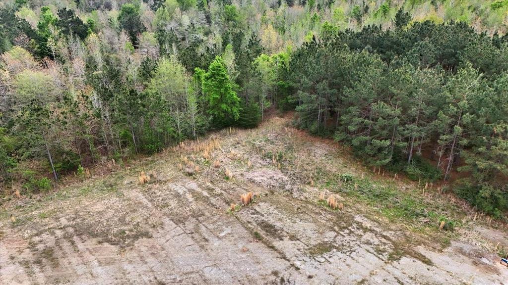 Tbd Lake Nacogdoches Ranch Property Photo 4