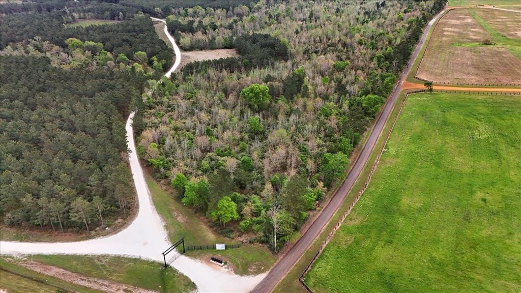 Tbd Lake Nacogdoches Ranch Property Photo 6