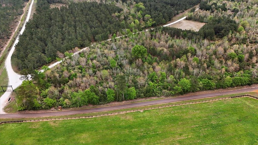 Tbd Lake Nacogdoches Ranch Property Photo 7