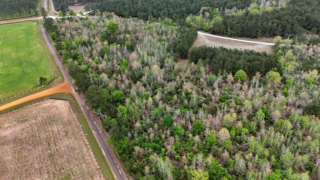 Tbd Lake Nacogdoches Ranch Property Photo 8