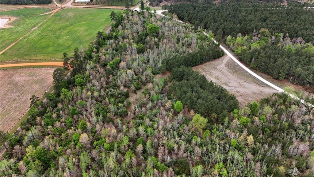 Tbd Lake Nacogdoches Ranch Property Photo 9