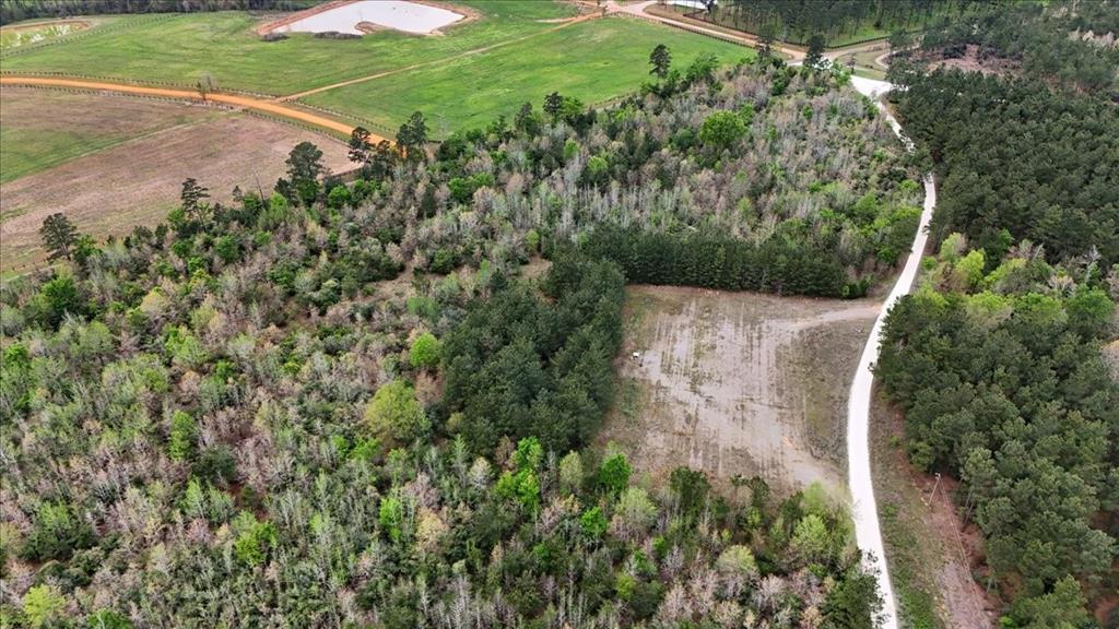 Tbd Lake Nacogdoches Ranch Property Photo 10