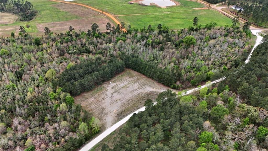 Tbd Lake Nacogdoches Ranch Property Photo 11