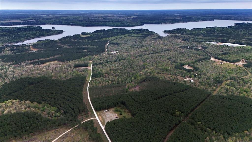 Tbd Lake Nacogdoches Ranch Property Photo 13