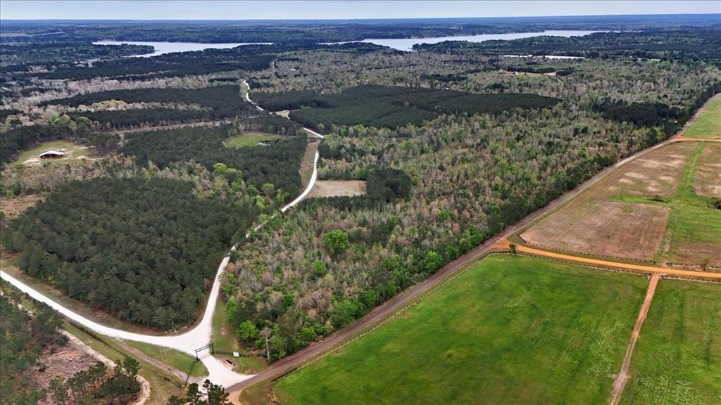 Tbd Lake Nacogdoches Ranch Property Photo 14