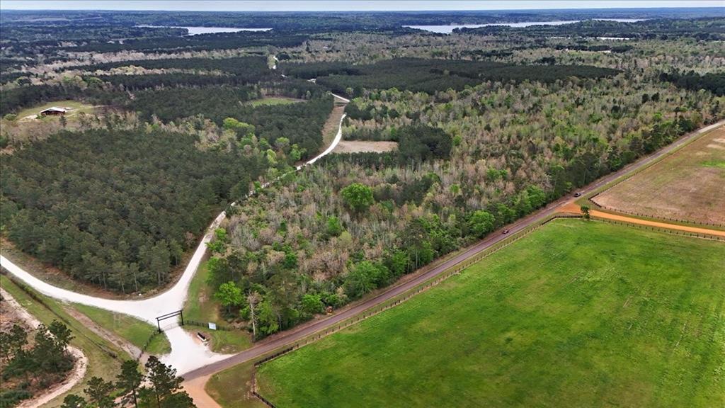 Tbd Lake Nacogdoches Ranch Property Photo 15