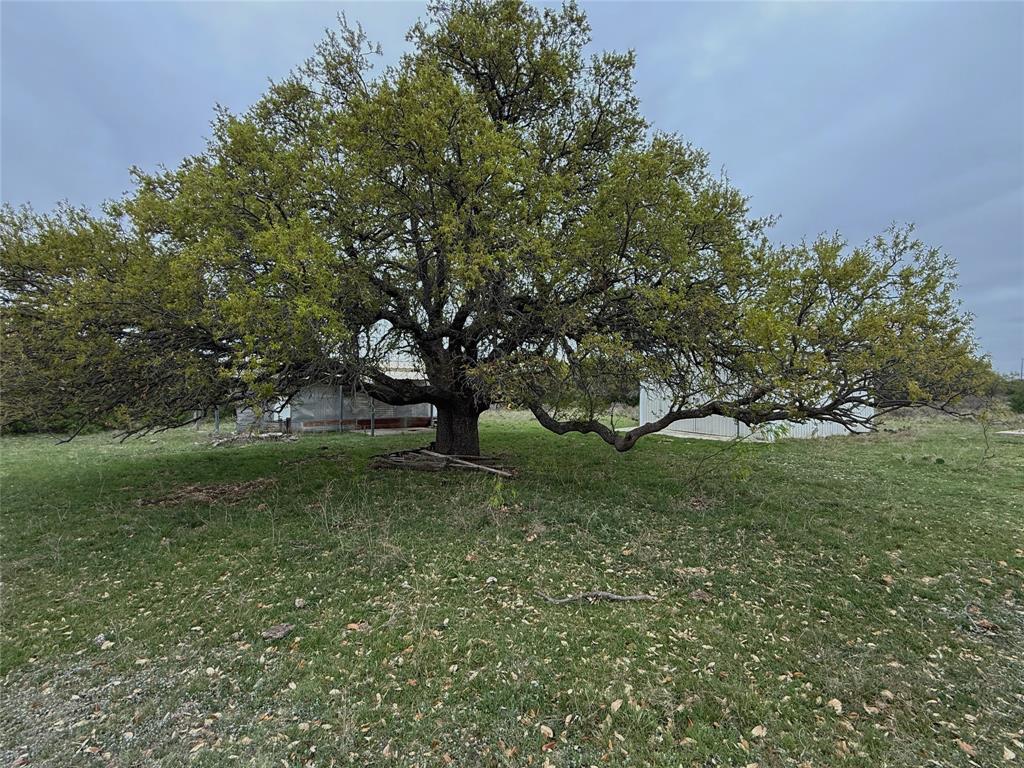 Tbd Co Rd 369 Property Photo 4