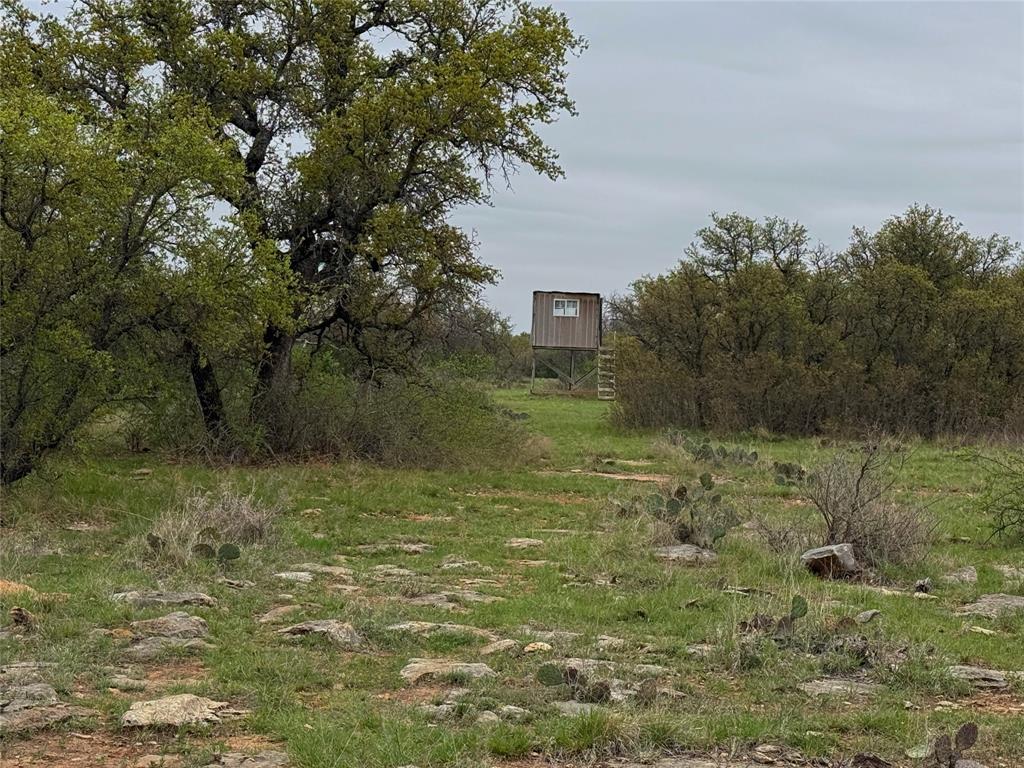 Tbd Co Rd 369 Property Photo 5