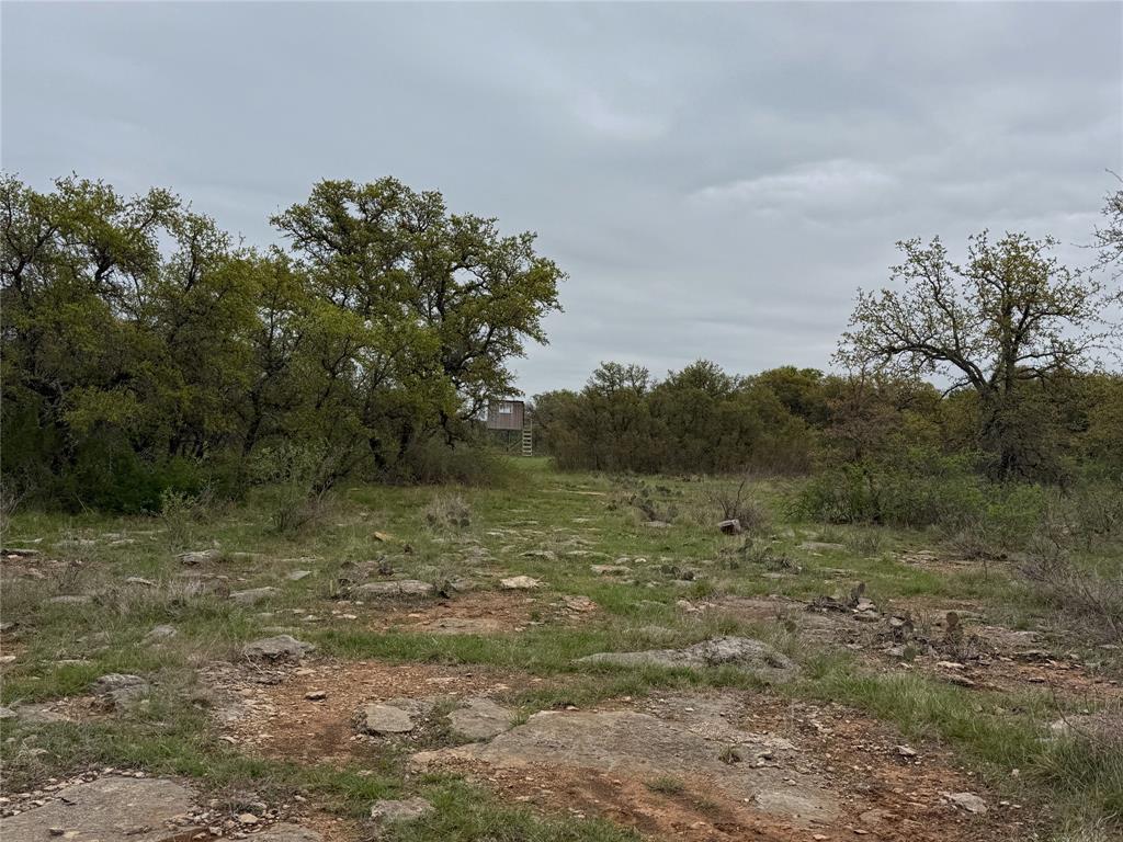 Tbd Co Rd 369 Property Photo 7