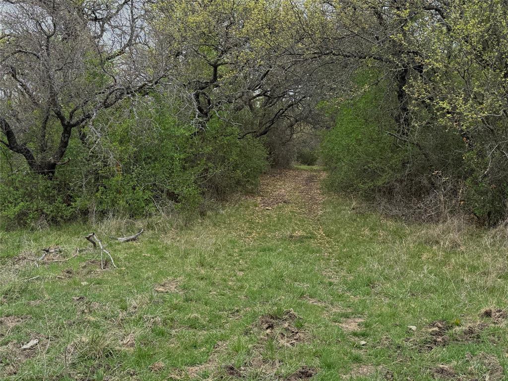 Tbd Co Rd 369 Property Photo 10