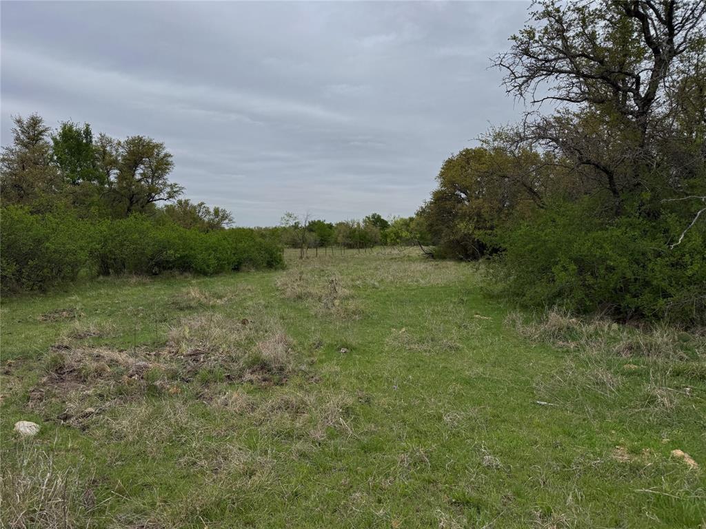 Tbd Co Rd 369 Property Photo 12