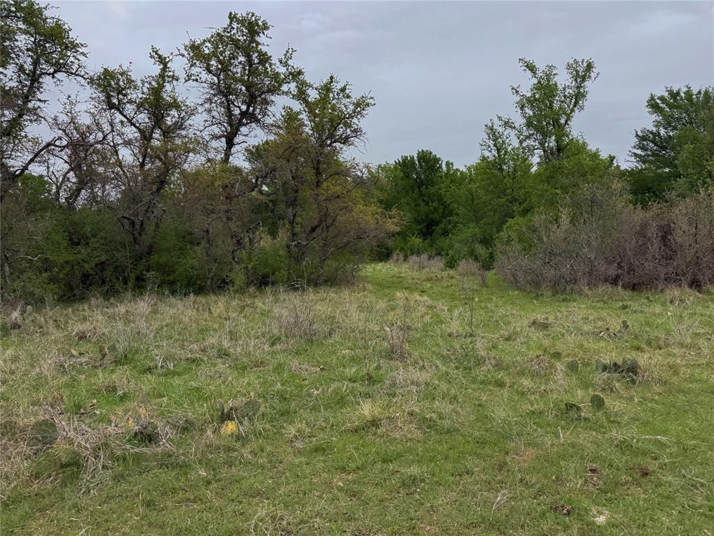 Tbd Co Rd 369 Property Photo 13