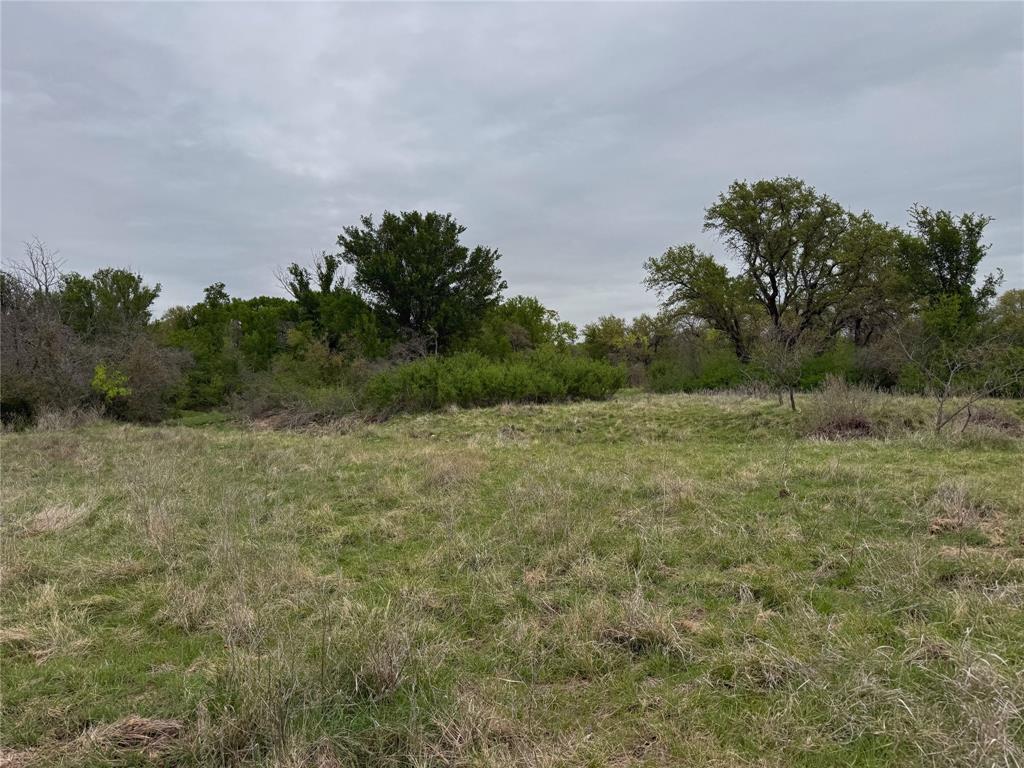 Tbd Co Rd 369 Property Photo 14