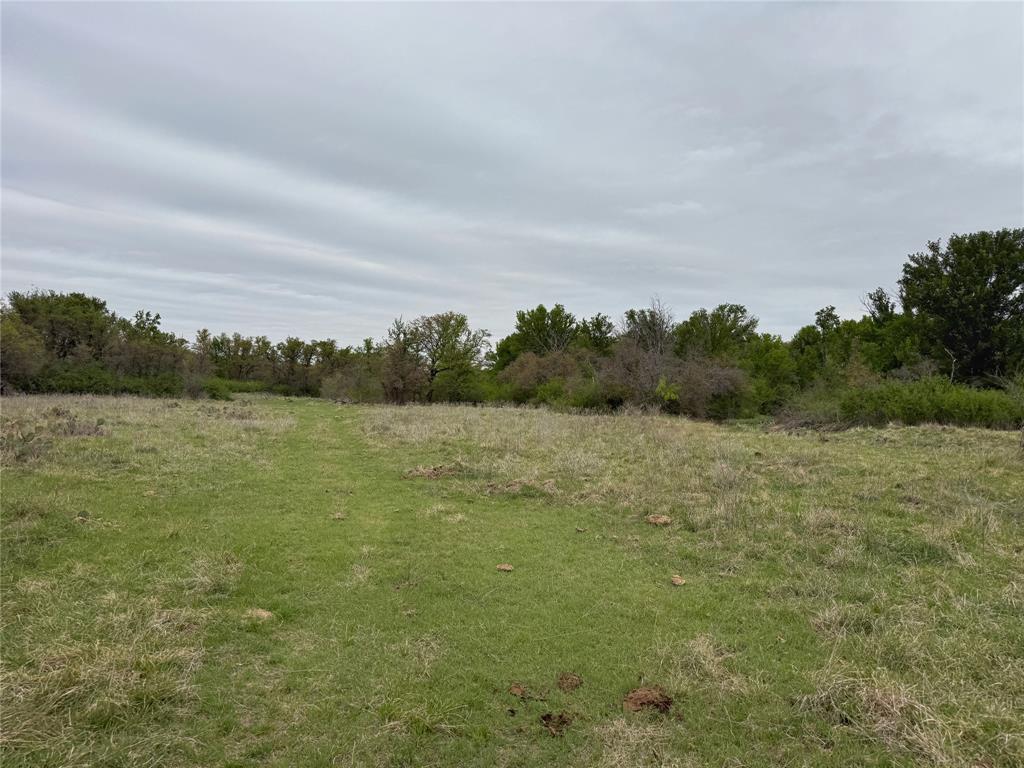 Tbd Co Rd 369 Property Photo 15