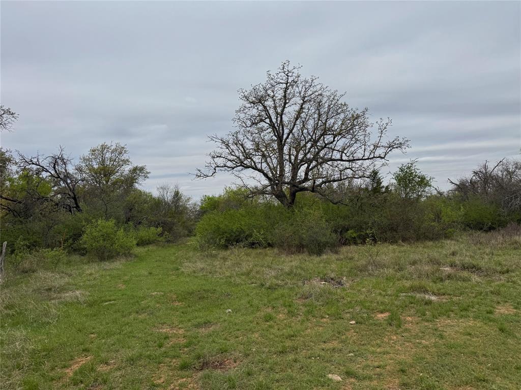 Tbd Co Rd 369 Property Photo 16