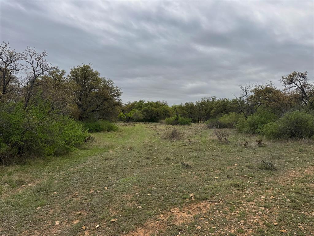 Tbd Co Rd 369 Property Photo 17