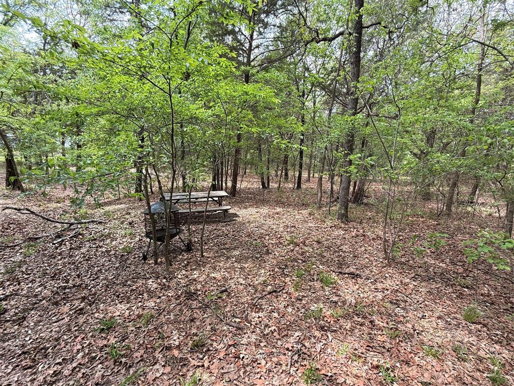 6435 Fm 17 Lots 68-77 Property Photo 14